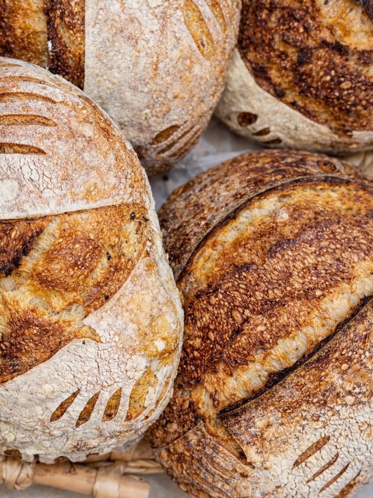 тартін · кунжут + соняшник